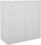 vidaXL - Lockerkast - 90x45x92,5 - cm - staal - lichtgrijs - en - groen