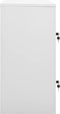 vidaXL - Lockerkast - 90x45x92,5 - cm - staal - lichtgrijs - en - groen