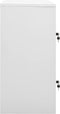 vidaXL - Lockerkast - 90x45x92,5 - cm - staal - lichtgrijs
