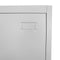 vidaXL - Lockerkast - met - 2 - vakken - 38x45x180 - cm