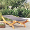 vidaXL - Loungebed - 100x188,5x44 - cm - massief - gebogen - hout - antracietkleurig