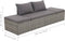 vidaXL - Loungebed - met - ligkussen - en - kussens - poly - rattan - grijs