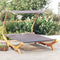 vidaXL - Loungebed - met - luifel - 165x203x138 - cm - gebogen - hout - antracietkleur