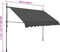 vidaXL - Luifel - handmatig - uitschuifbaar - met - LED - 250 - cm - antracietkleurig