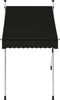 vidaXL - Luifel - handmatig - uittrekbaar - 100 - cm - antraciet
