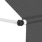vidaXL - Luifel - handmatig - uittrekbaar - 400 - cm - antraciet