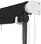 vidaXL - Luifel - uittrekbaar - met - LED - 150x150 - cm - antraciet