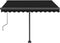 vidaXL - Luifel - vrijstaand - handmatig - uittrekbaar - 350x250 - cm - antraciet