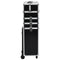vidaXL - Make-up - trolley - aluminium - zwart - met - krokodillenpatroon