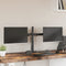 vidaXL - Monitorstandaard - dubbel - VESA - 75/100 - mm - staal - zwart
