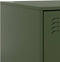 vidaXL - Nachtkastje - 34,5x39x44 - cm - staal - groen