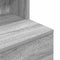 vidaXL - Nachtkastje - 39x35x125 - cm - bewerkt - hout - grijs - sonoma - eikenkleurig