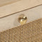 vidaXL - Nachtkastje - 40x30x50 - cm - massief - mangohout - en - ijzer