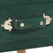 vidaXL - Nachtkastje - 40x35x40 - cm - fluweel - groen