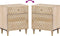 vidaXL - Nachtkastje - 50x33x60 - cm - massief - mangohout