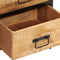 vidaXL - Nachtkastje - met - 2 - lades - 40x35x53 - cm - massief - ruw - mangohout