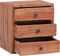 vidaXL - Nachtkastje - met - 3 - lades - 35x25x35 - cm - massief - mahoniehout