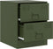 vidaXL - Nachtkastjes - 2 - st - 34,5x39x44 - cm - staal - groen