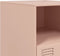 vidaXL - Nachtkastjes - 2 - st - 34,5x39x44 - cm - staal - roze