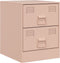 vidaXL - Nachtkastjes - 2 - st - 34,5x39x44 - cm - staal - roze