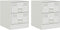 vidaXL - Nachtkastjes - 2 - st - 34,5x39x44 - cm - staal - wit