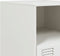 vidaXL - Nachtkastjes - 2 - st - 34,5x39x44 - cm - staal - wit
