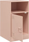 vidaXL - Nachtkastjes - 2 - st - 34,5x39x62 - cm - staal - roze