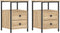 vidaXL - Nachtkastjes - 2 - st - 34x35,5x50 - cm - sonoma - eikenkleurig