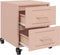 vidaXL - Nachtkastjes - 2 - st - 36x39x43,5 - cm - staal - roze