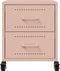 vidaXL - Nachtkastjes - 2 - st - 36x39x43,5 - cm - staal - roze