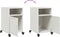 vidaXL - Nachtkastjes - 2 - st - 36x39x59 - cm - staal - wit