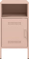vidaXL - Nachtkastjes - 2 - st - 36x39x68 - cm - staal - roze