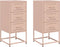 vidaXL - Nachtkastjes - 2 - st - 36x39x78 - cm - staal - roze