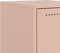 vidaXL - Nachtkastjes - 2 - st - 36x39x78 - cm - staal - roze