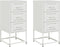 vidaXL - Nachtkastjes - 2 - st - 36x39x78 - cm - staal - wit