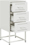 vidaXL - Nachtkastjes - 2 - st - 36x39x78 - cm - staal - wit