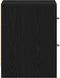 vidaXL - Nachtkastjes - 2 - st - 40x30x40 - cm - spaanplaat - zwart - eikenkleurig