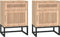 vidaXL - Nachtkastjes - 2 - st - 40x30x55,5 - cm - bewerkt - hout - en - ijzer