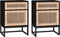 vidaXL - Nachtkastjes - 2 - st - 40x30x55,5 - cm - bewerkt - hout - en - ijzer - zwart