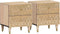 vidaXL - Nachtkastjes - 2 - st - 40x33x46 - cm - massief - mangohout