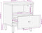 vidaXL - Nachtkastjes - 2 - st - 40x33x46 - cm - massief - mangohout - zwart