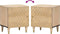 vidaXL - Nachtkastjes - 2 - st - 40x33x46 - cm - massief - mangohout