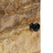 vidaXL - Nachtkastjes - 2 - st - 40x33x46 - cm - massief - mangohout