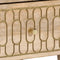 vidaXL - Nachtkastjes - 2 - st - 40x33x46 - cm - massief - mangohout
