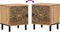 vidaXL - Nachtkastjes - 2 - st - 40x33x46 - cm - massief - mangohout