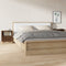 vidaXL - Nachtkastjes - 2 - st - 40x35x50 - cm - bruin - eikenkleur