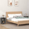 vidaXL - Nachtkastjes - 2 - st - 40x35x55 - cm - massief - grenenhout - grijs
