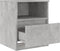 vidaXL - Nachtkastjes - 2 - st - 40x40x50 - cm - bewerkt - hout - betongrijs