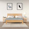 vidaXL - Nachtkastjes - 2 - st - 50x35x61,5 - cm - massief - grenenhout
