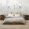 vidaXL - Nachtkastjes - 2 - st - 60x34x51 - cm - massief - grenenhout - honingbruin
